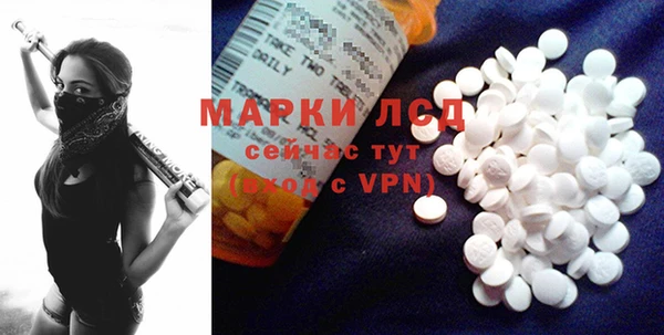 трава Надым